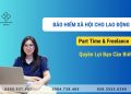 bao-hiem-xa-hoi-freelance