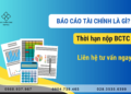 Báo cáo tài chính là gì? Thời hạn nộp BCTC