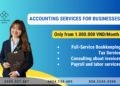 Outsourced Tax & Accounting Service (Tax Report) in Vietnam