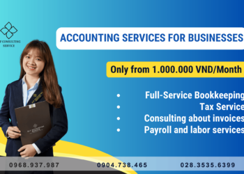 Outsourced Tax & Accounting Service (Tax Report) in Vietnam