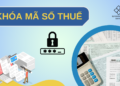 NGUYÊN NHÂN BỊ KHÓA MÃ SỐ THUẾ